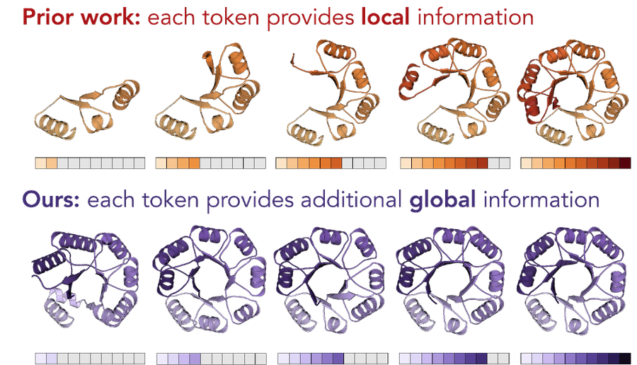 Adaptive Protein Tokenization